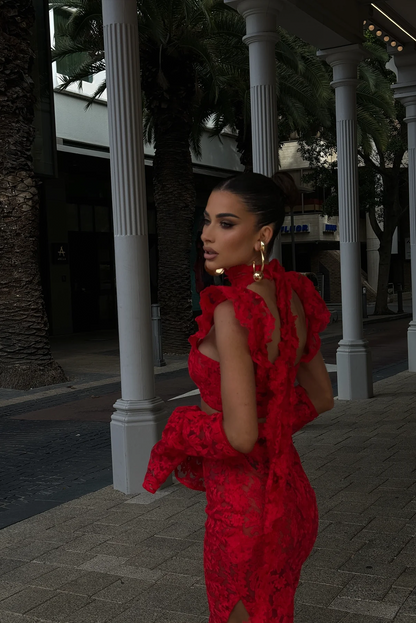 La Bonita Skirt & La Bonita Corset