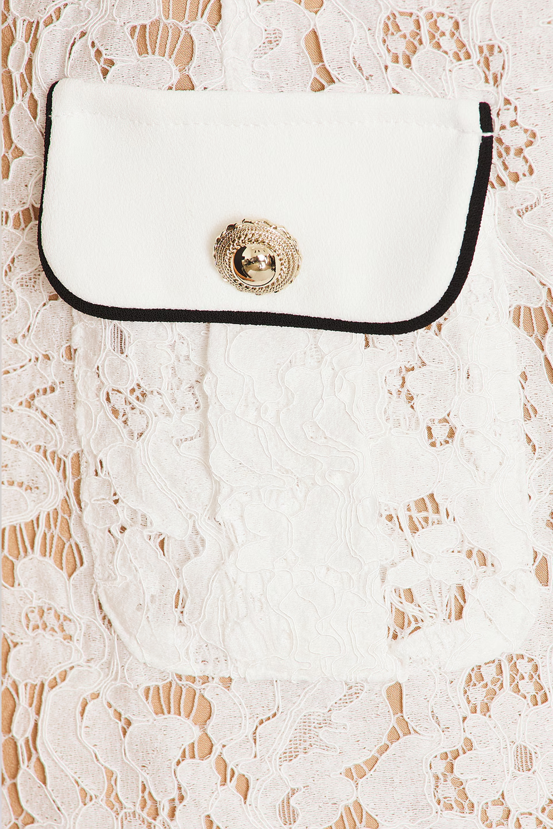 Lace Contrast Collar Dress